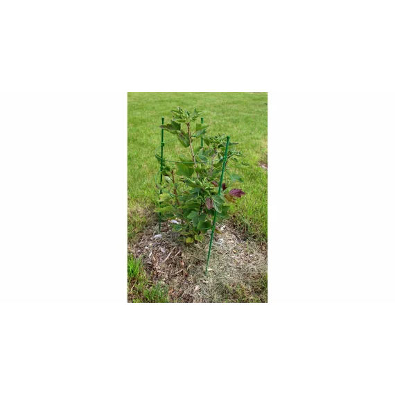 Suport plante cataratoare Climber