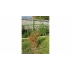 Suport plante cataratoare Gardening Pole 16