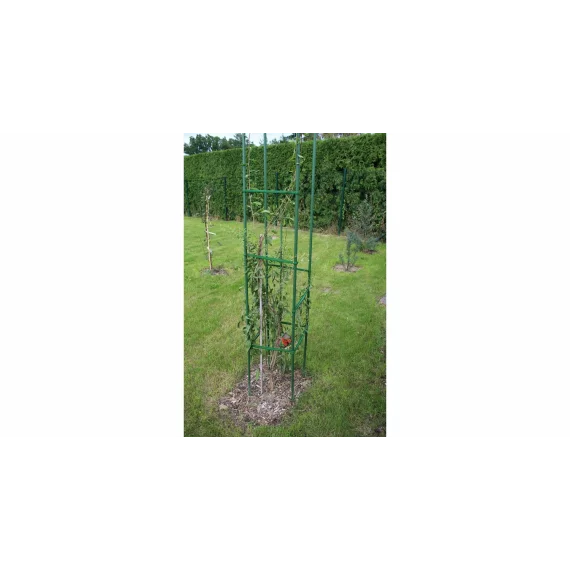 Suport plante cataratoare Gardening Pole 16