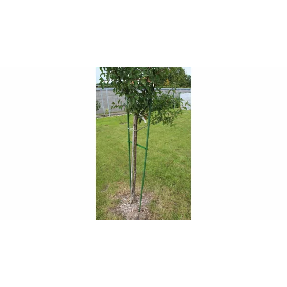 Suport plante cataratoare Gardening Pole 16