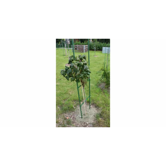 Suport plante cataratoare Gardening Pole 16