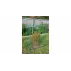Suport plante cataratoare Gardening Pole 16