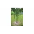 Suport plante cataratoare Gardening Pole 8
