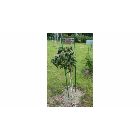 Suport plante cataratoare Gardening Pole 8