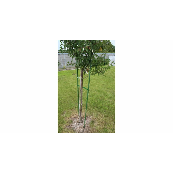 Suport plante cataratoare Gardening Pole 8