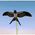 Swallow Kite wing shaking fishing rod kite