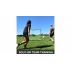 Tekkers XL 8x6 FT soccer rebounder
