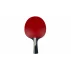Timo Boll Diamond table tennis racket