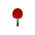 Timo Boll Smaragd paleta tenis de masa