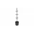 Ghiveci pentru cresterea rosiilor Tomato 29 cm, antracit
