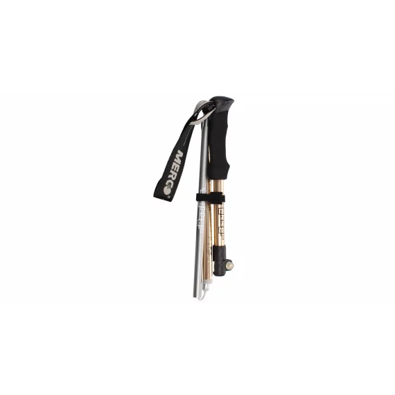 Trekker bat de trekking