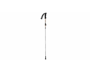 Trekker bat de trekking
