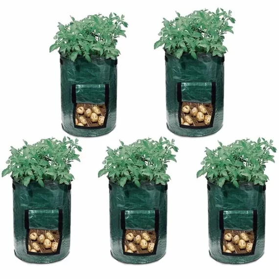 Veggie Bag sac de cultivare a legumelor 30 x 35cm