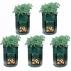 Veggie Bag sac de cultivare a legumelor 30 x 35cm