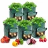 Veggie Bag sac de cultivare a legumelor 30 x 35cm