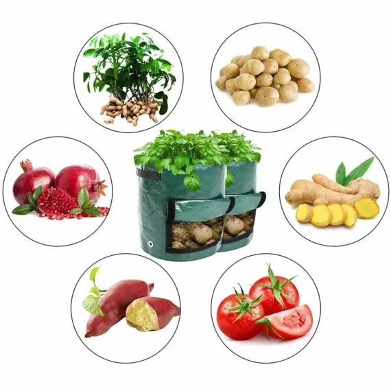 Veggie Bag sac de cultivare a legumelor 30 x 35cm