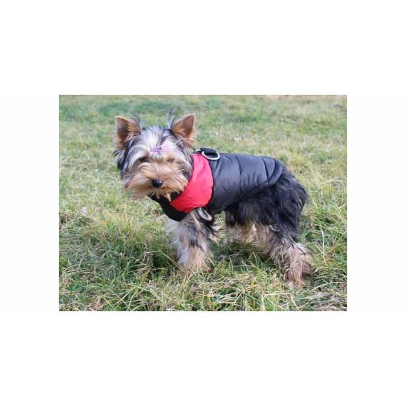 Vest Doggie vesta pentru caini, rosu
