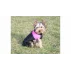 Vest Doggie vesta pentru caini, roz