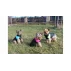 Vest Doggie vesta pentru caini, roz