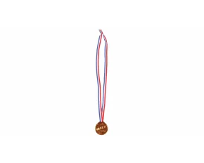 Winner Bronze children&#039;s medal with ribbon