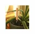 Wood Kit instrumente de gradina din lemn