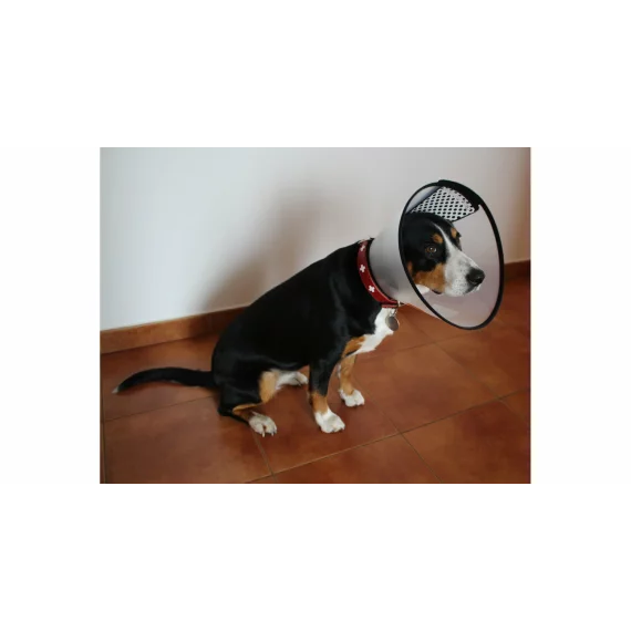 Guler de protectie pentru caini Anti Bite