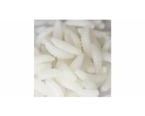 Bait Soft Worms bread worms 50 pcs white
