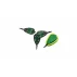 Set Bait Feeder, alimentare cu momeala