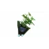 Wallnet wall plastic flower pot