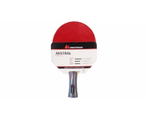 Paleta tenis de masa Mistral