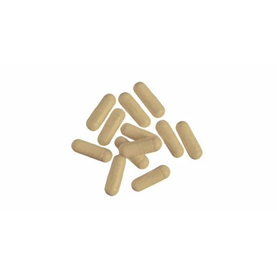 Inosine, 100 capsule