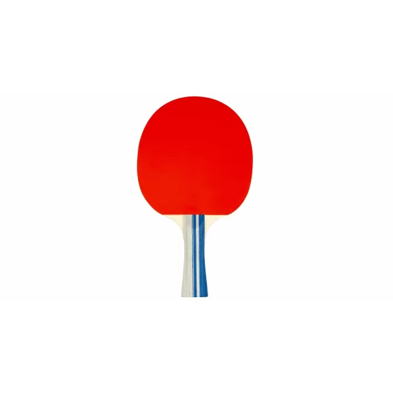 Set complet pentru tenis de masa