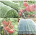 Plasa impotriva insectelor si pasarilor 2,5 x 10 m