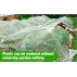 Plasa impotriva insectelor si pasarilor 2,5 x 10 m