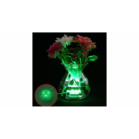 Set lumini rezistent la apa Led RC Light 12