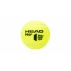 Mingi padel Head Padel Pro S