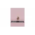 Plansa fitness alunecare sau ajutor patinaj Slidder 1.8