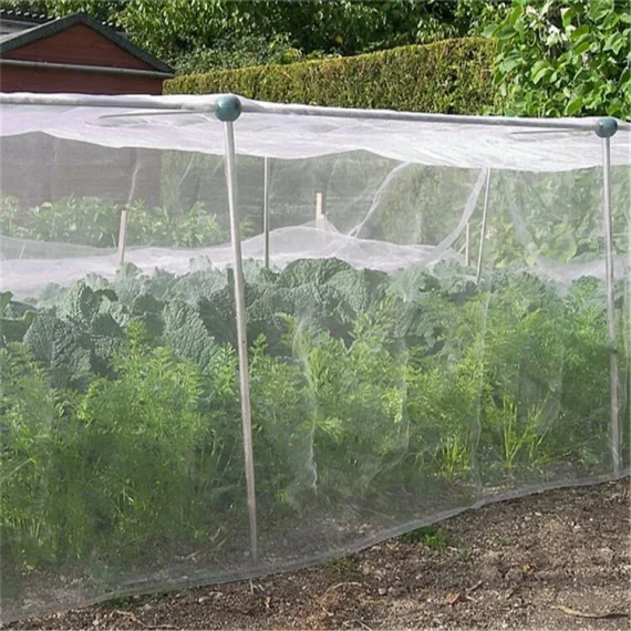 Plasa anti-insecte 2 x 10 m