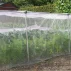 Plasa anti-insecte 2 x 10 m