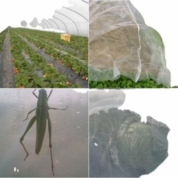Plasa anti-insecte 2 x 10 m