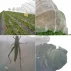 Plasa anti-insecte 2 x 10 m