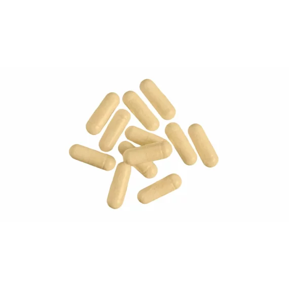 Supliment alimentar Ashwagandha