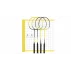 Set complet de badminton pentru 4 jucatori
