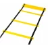 Scarita de agilitate, lungime 6m, trepte ajustabile, Training ladder