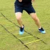 Scarita de agilitate, lungime 6m, trepte ajustabile, Training ladder