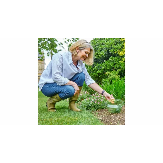 Protectie tip guler anti melci pentru legume, 12 buc