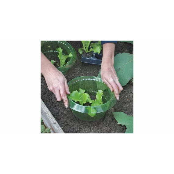 Protectie tip guler anti melci pentru legume, 12 buc