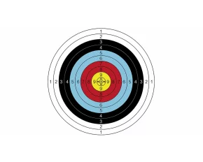 Tinta de tir cu arcul din hartie Archer Aim diametrul 60 cm, 10 buc