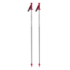 Bete schi alpin, VAN DEER - Red Bull Sports RACE GS CARBON