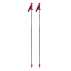Bete schi alpin, VAN DEER - Red Bull Sports RACE GS CARBON